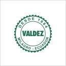 clientes-comex-valdez