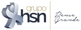 rdin-logo-grupo-hsn-rodape2